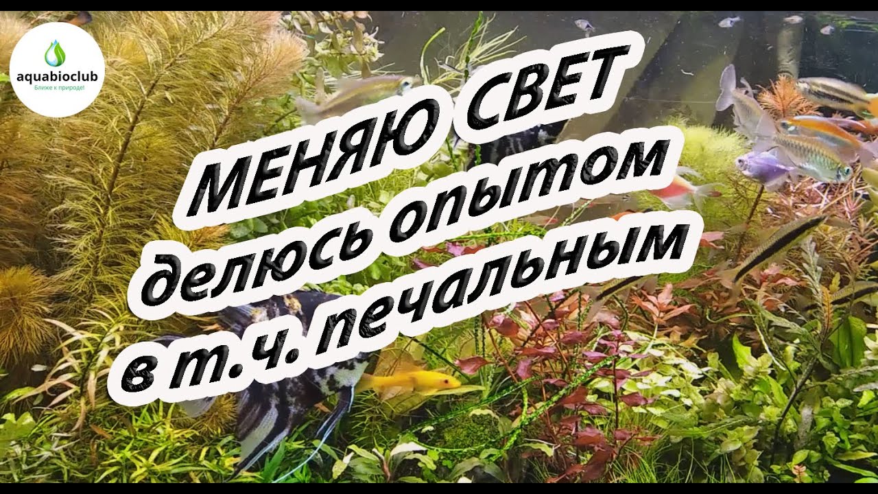 Меняю свет в аквариуме, делюсь опытом, в т.ч. негативным.