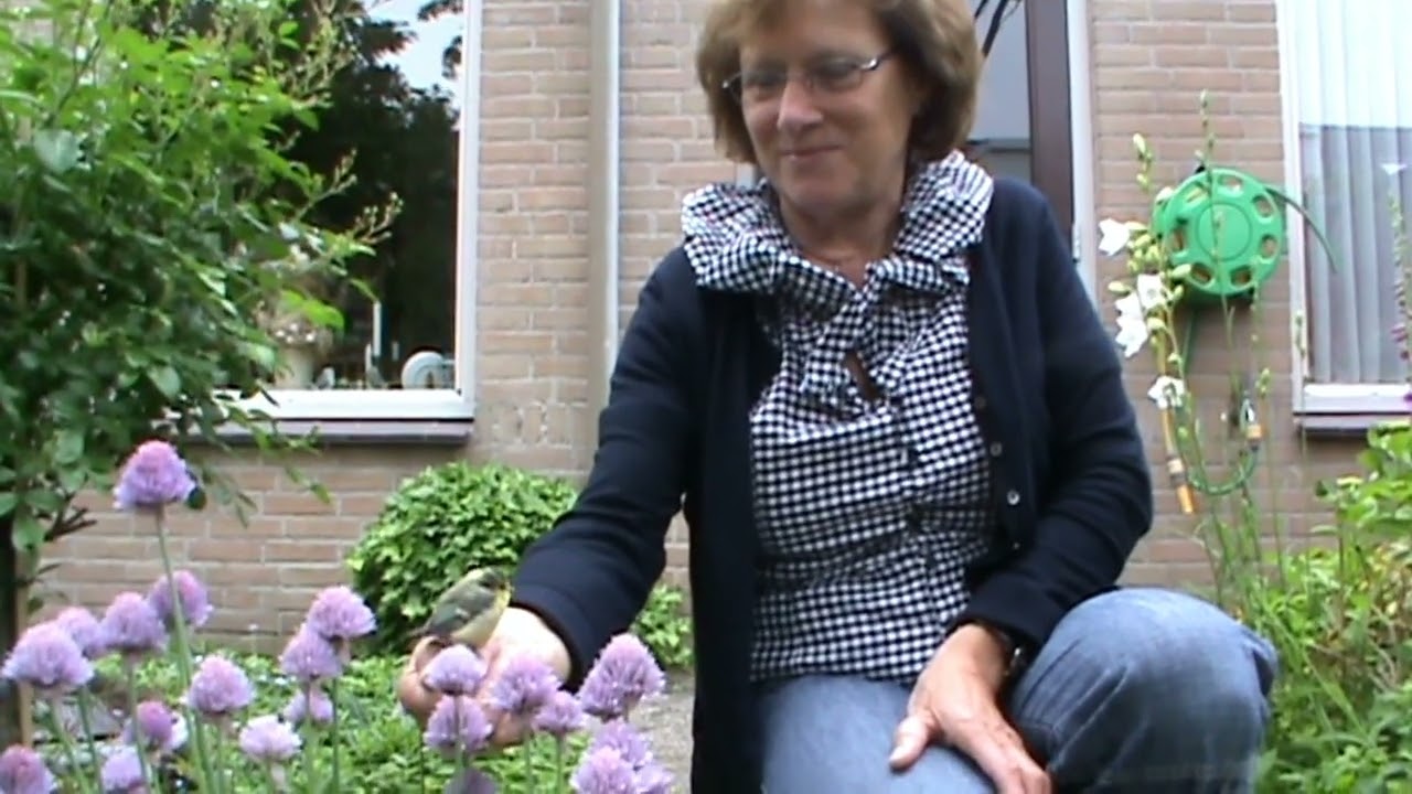 Grote bekken eerst