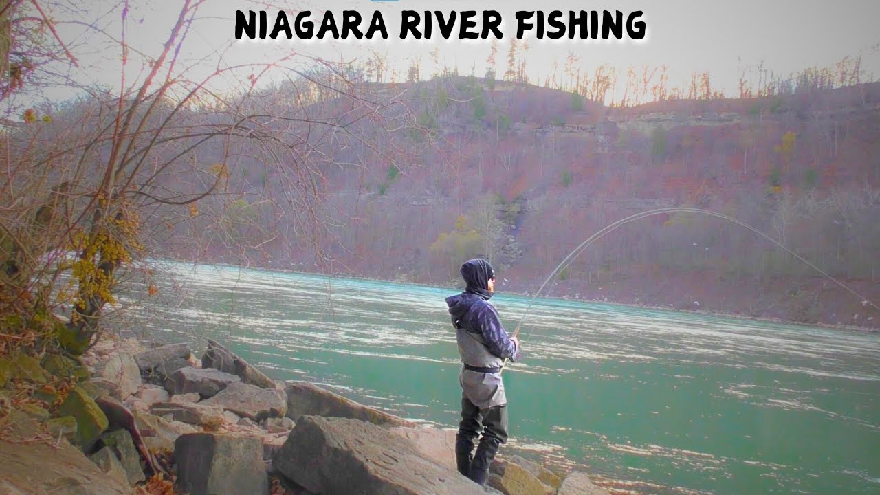 Fishing the NIAGARA RIVER for GIANT TROUT