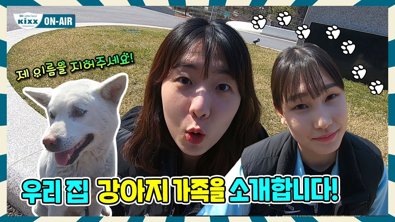 [킥스온에어] 우리 집 강아지 가족을 소개합니다! 영상에서 꼬순내 나는 것 같음..♥