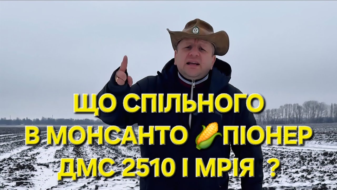 ЩО СПІЛЬНОГОВ МОНСАНТО 🌽ПІОНЕР ДМС 2510 І МРІЯ  ? #агро #фермер #агробізнес #поле #трактор 