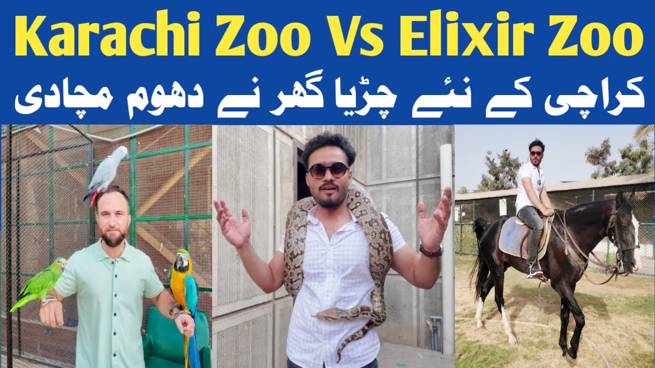 Karachi Zoo VS Elixir Zoo | New Chidiya Ghar | Karachi's Hidden Wildlife | Animal Interaction Show