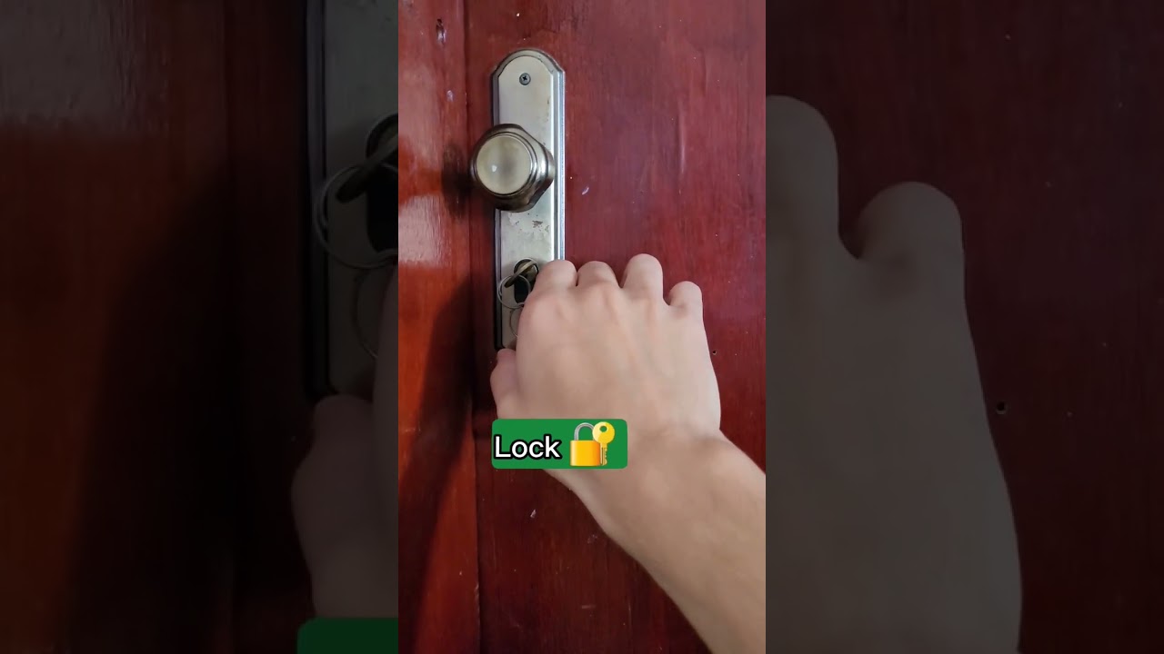 voc&ecirc; conhece essas 