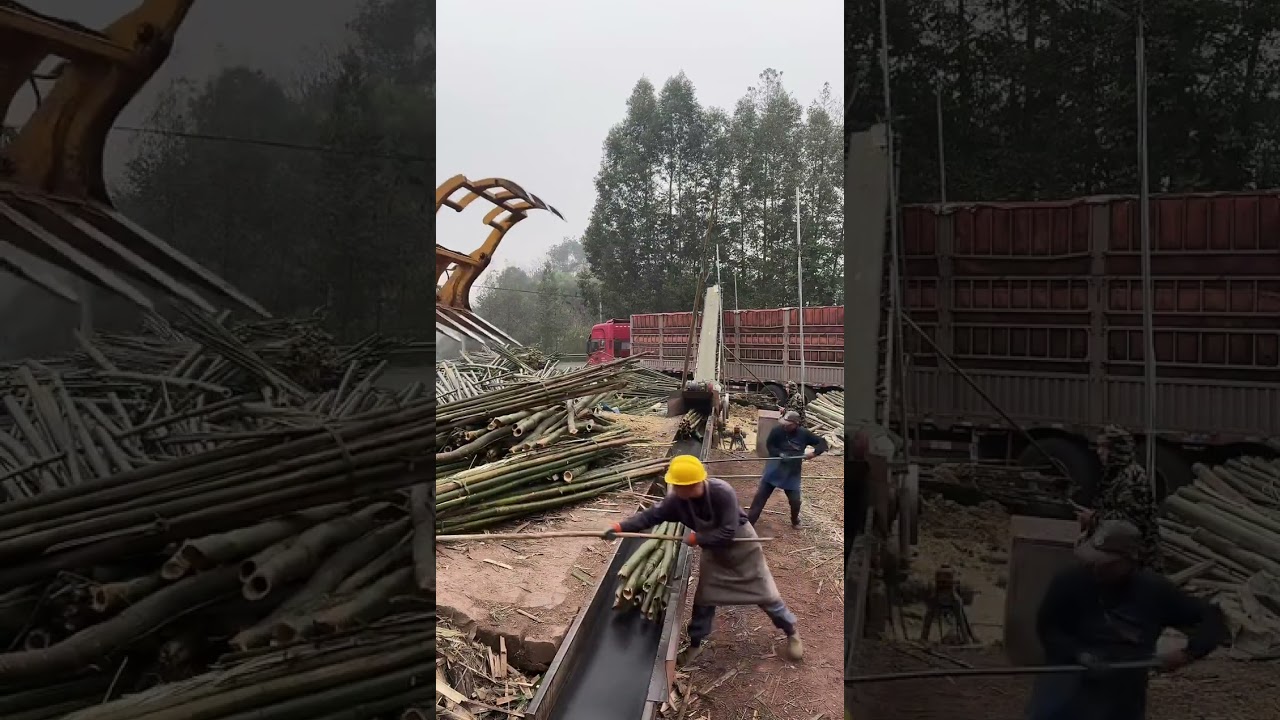 I bet you’ve NEVER seen wood processed this way