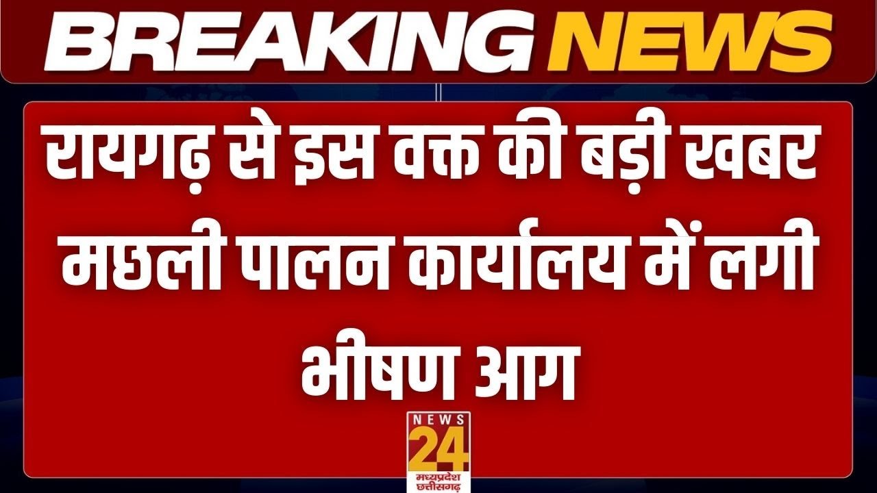 Breaking News: Raigarh से इस वक्त की बड़ी खबर मछली पालन कार्यालय में लगी भीषण आग | LIVE |News24 MPCG