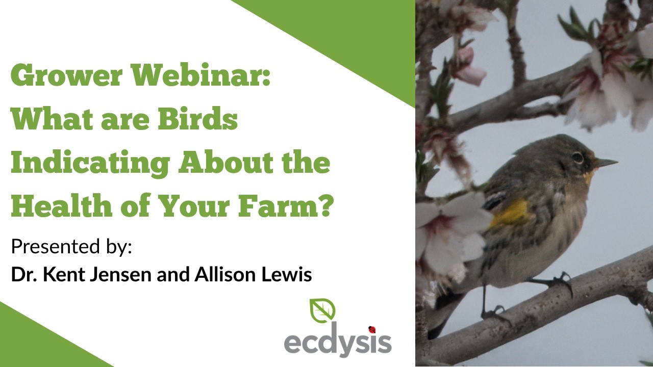 What are your birds indicating about the health of your farm?