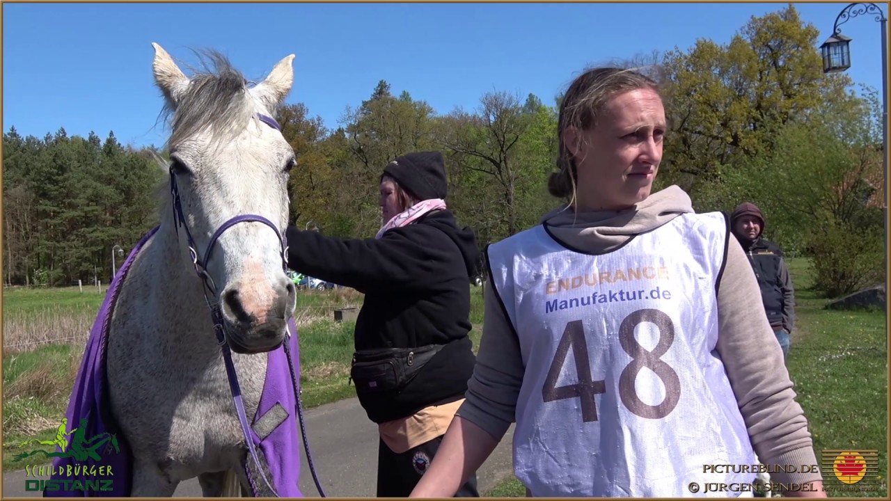 Schildauer Distanz Reiten 2017