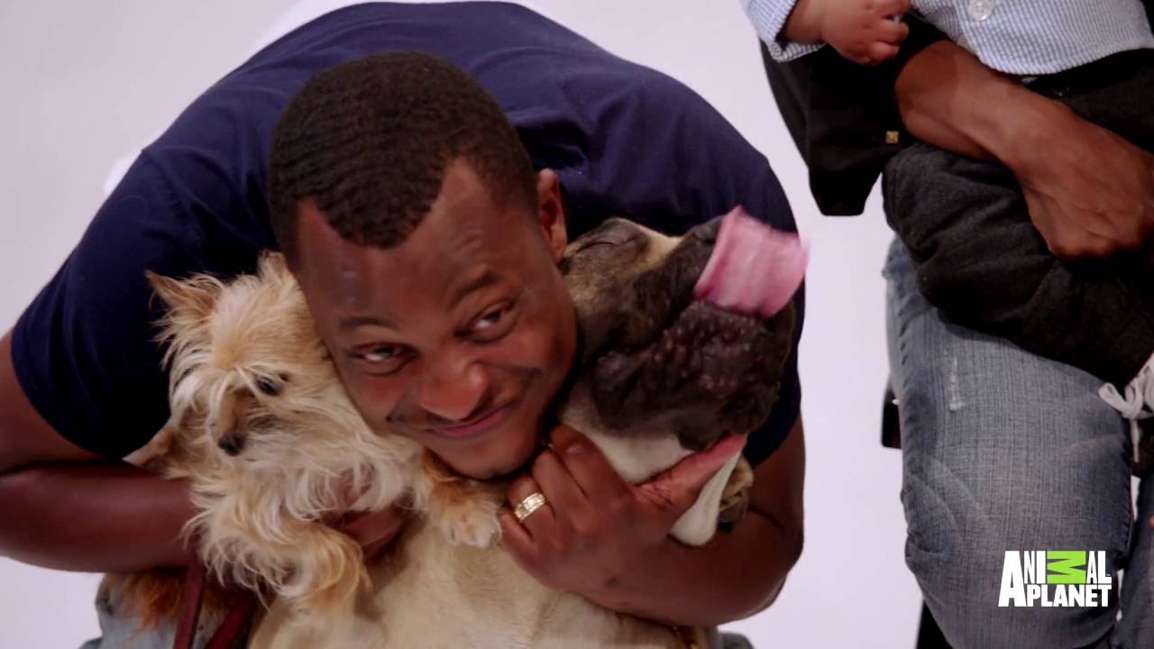 The Vets and Their Pets