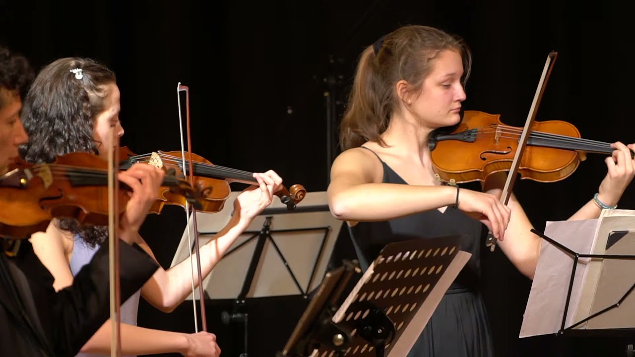 FESTIVAL STRINGS LUCERNE FEATURING TALENT STRINGS