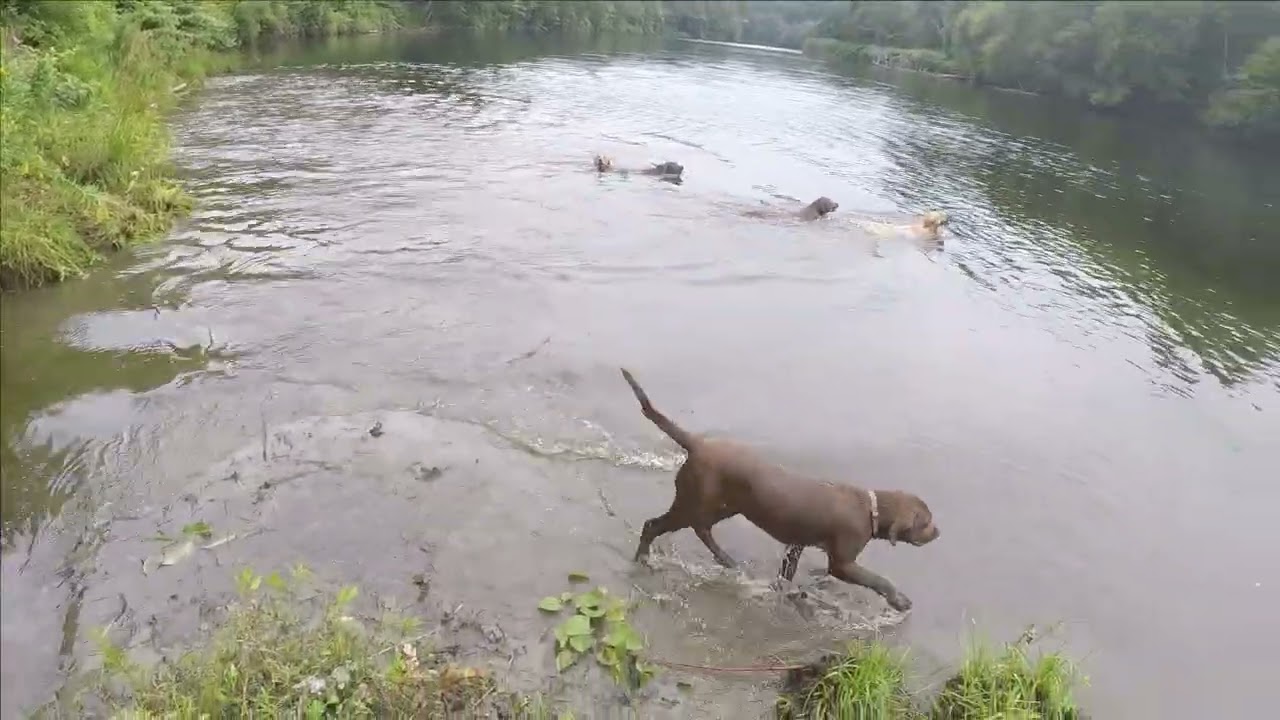 At the river, yet again!  8/13
