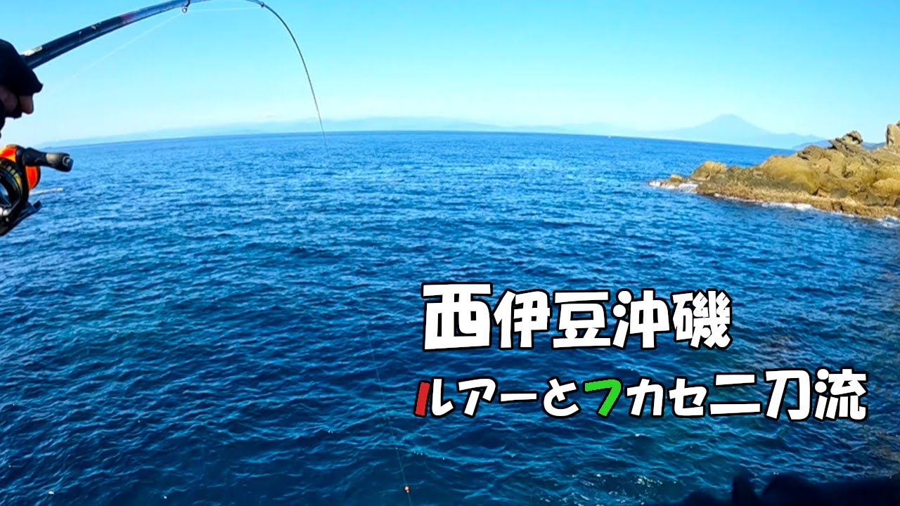 地元静岡、西伊豆で久々の沖磯　ルアーとウキフカセで楽しく二刀流　#ルアー釣り #西伊豆 #エサ釣り
