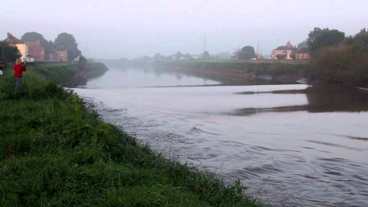 Trent Aegir - 29th September 2011 - East Stockwith