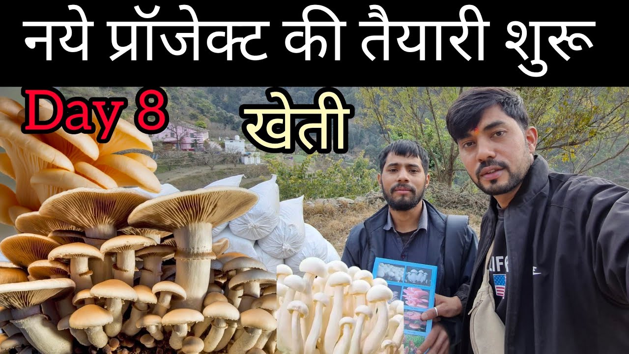 अब हम गांव में मशरूम भी लगाएंगे । तैयारी  शुरू #पहाड़ीlifestyle @pushkar_karayat 