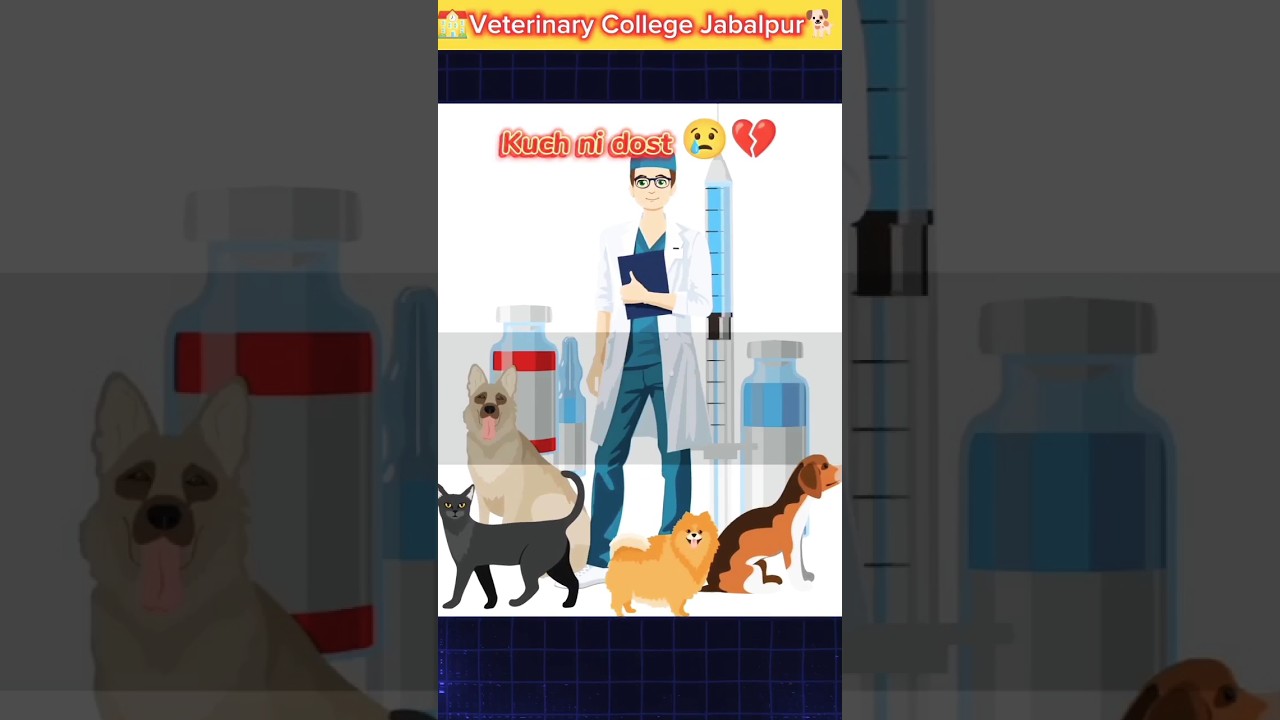 😸Vetlife #veterinarian #ndvsu #vetvlogs #animalmovie #memes #pvft #neet #vci #veterinary