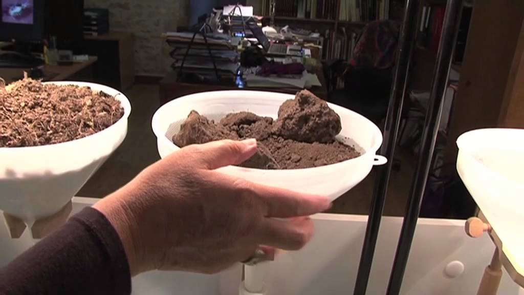 Microbiodiversit&eacute; la vie secr&egrave;te des sols