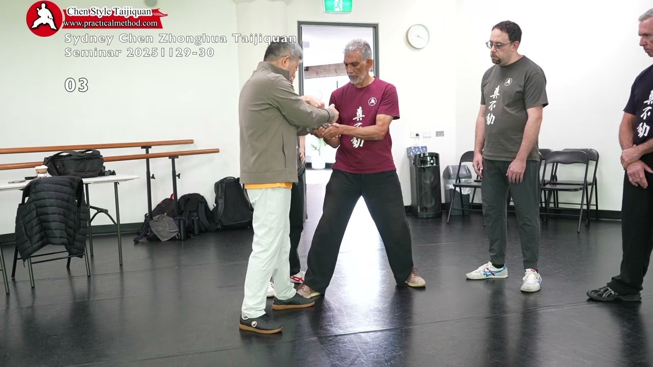 Trailer Hold 03 Private Sydney Chen Zhonghua Taijiquan Seminar 20251129