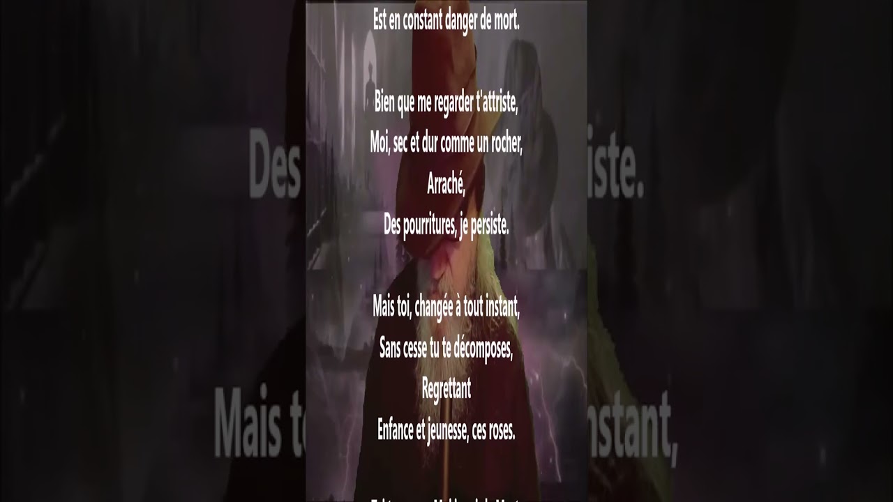 Dialogue - Lucie Delarue-Mardrus lu par Yvon Jean
