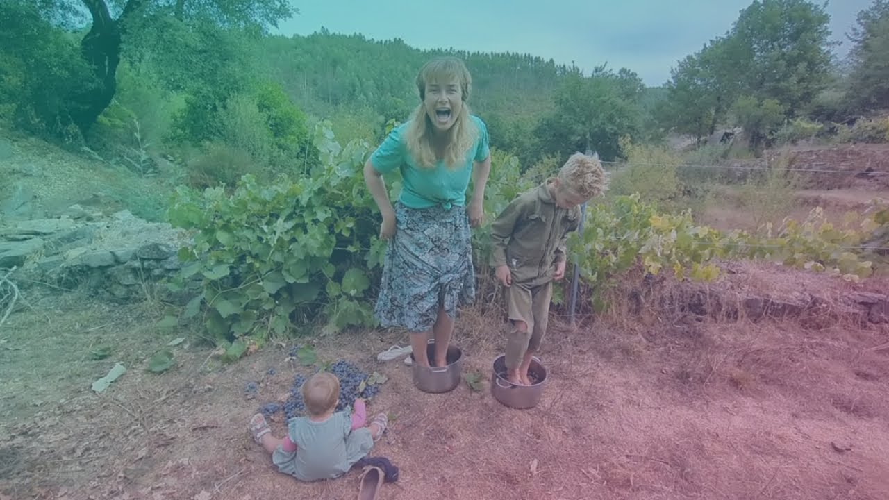 The True Vine
