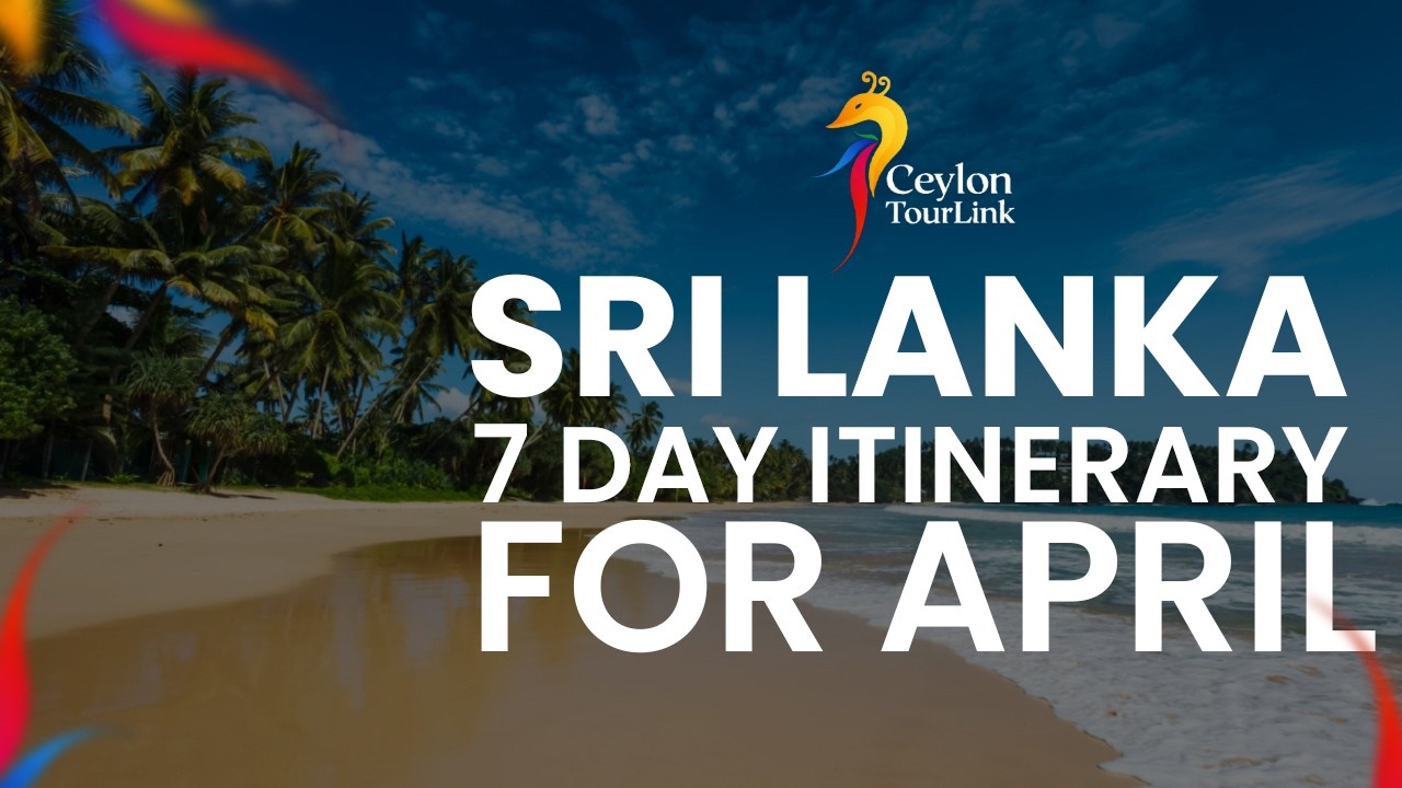 Sri Lanka 7 Days Itinerary April 🇱🇰 | Complete Travel Guide (Beaches, Ella Train & Safari)