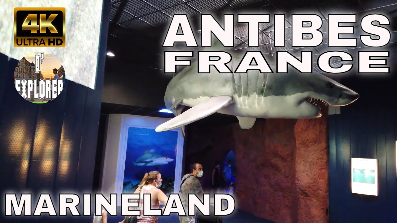 【4K】🇫🇷Antibes,France 》MarineLand Adventure