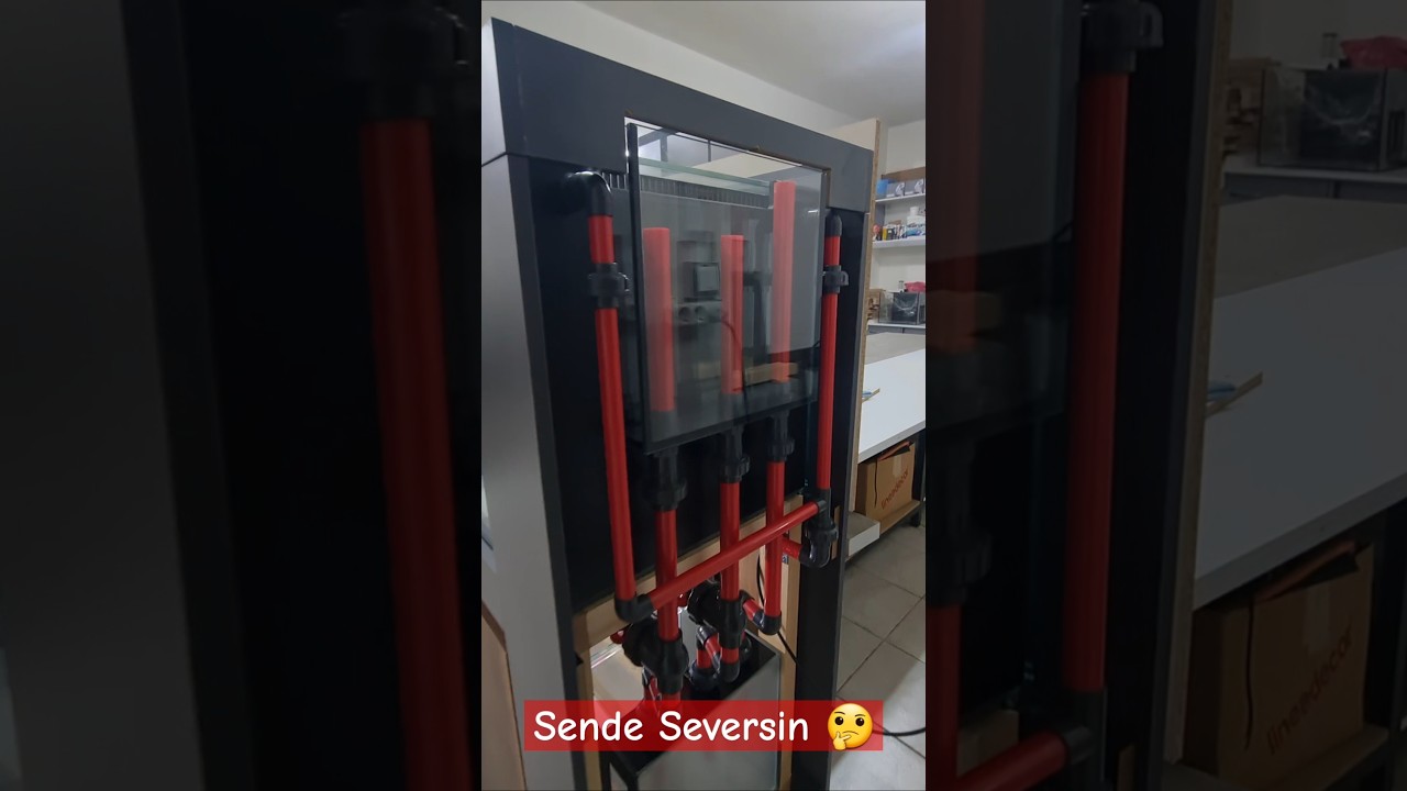 200x60x60 cm Profesyonel Alt Sumplu Sistem #akvaryum #aquarium