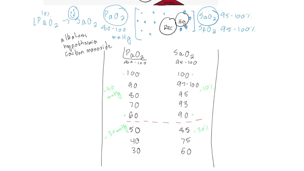 The Oxygen Supply and Demand Framework: The Oxyhemoglobin Dissociation Curve