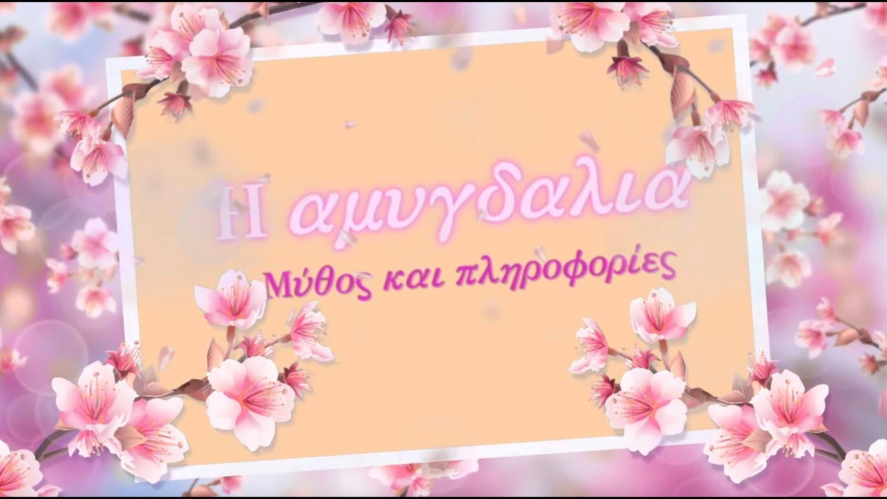 H Αμυγδαλιά (το δέντρο της ελπίδας)