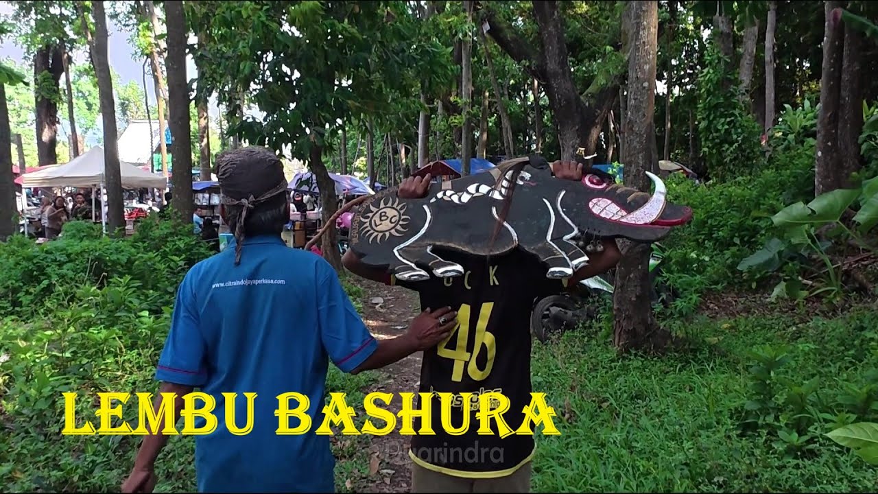 Mberot bareng Bantengan Lembu Bashura full kalapan