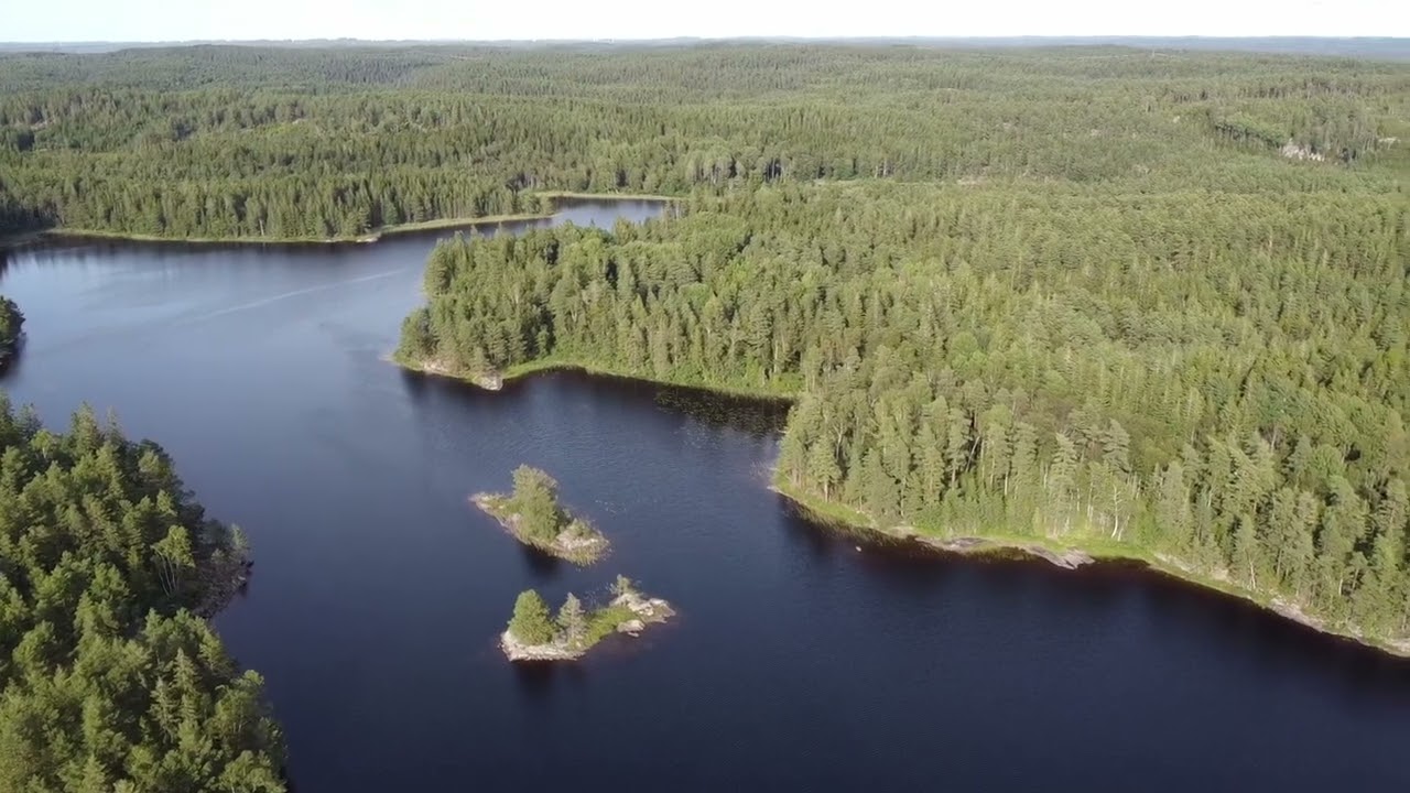 Dalsland 2022