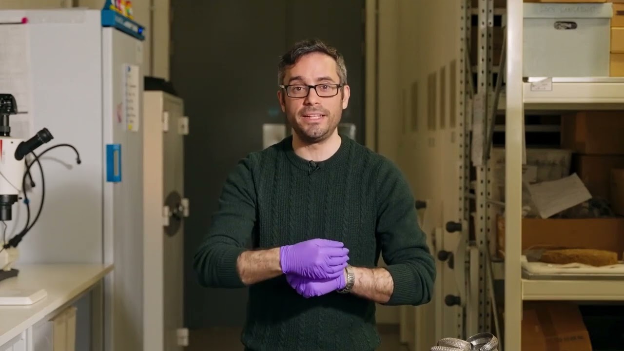 The Galloway Hoard: Where did the Silver come from? | Online event at National Museums Scotland