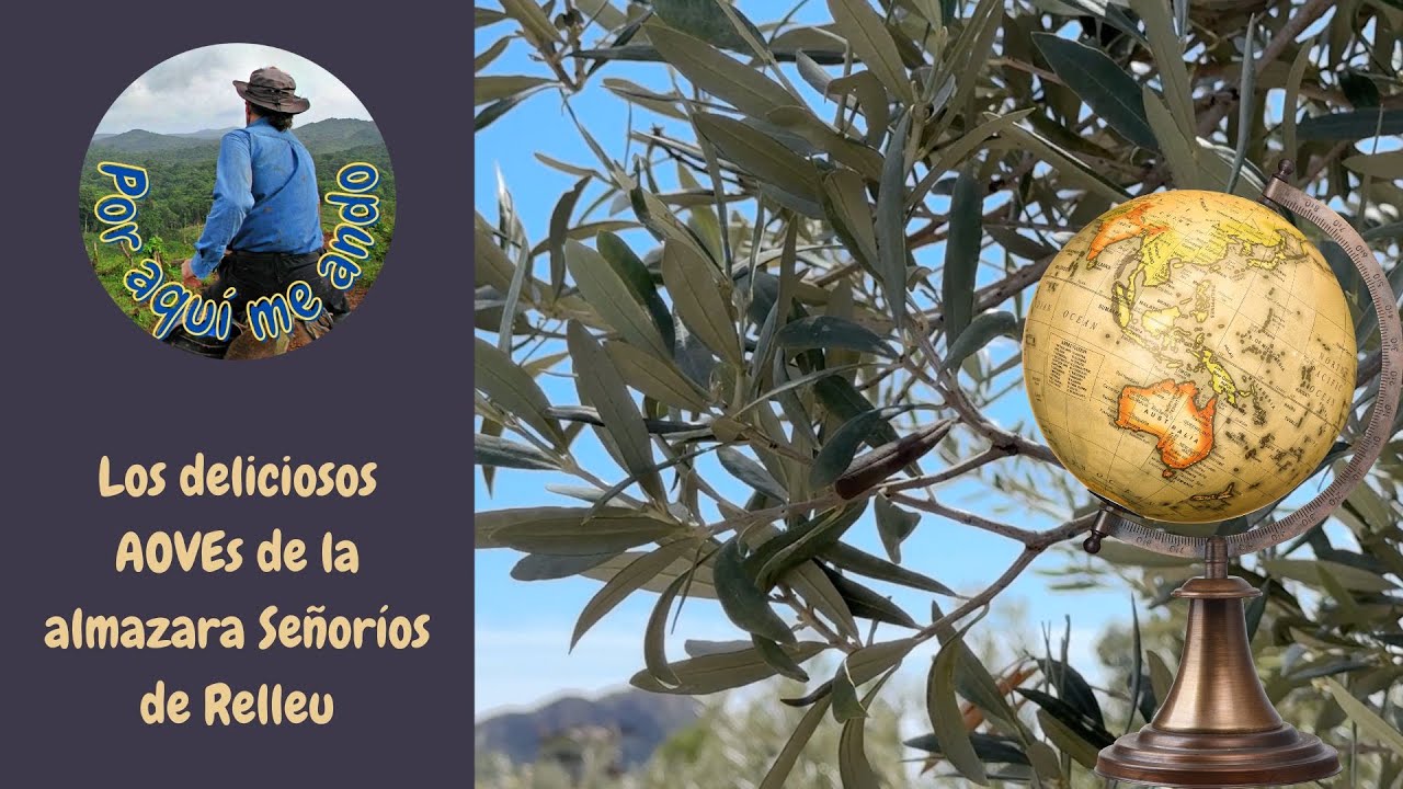 🍈 Probamos los AOVE gourmet de la almazara Señorios de Relleu