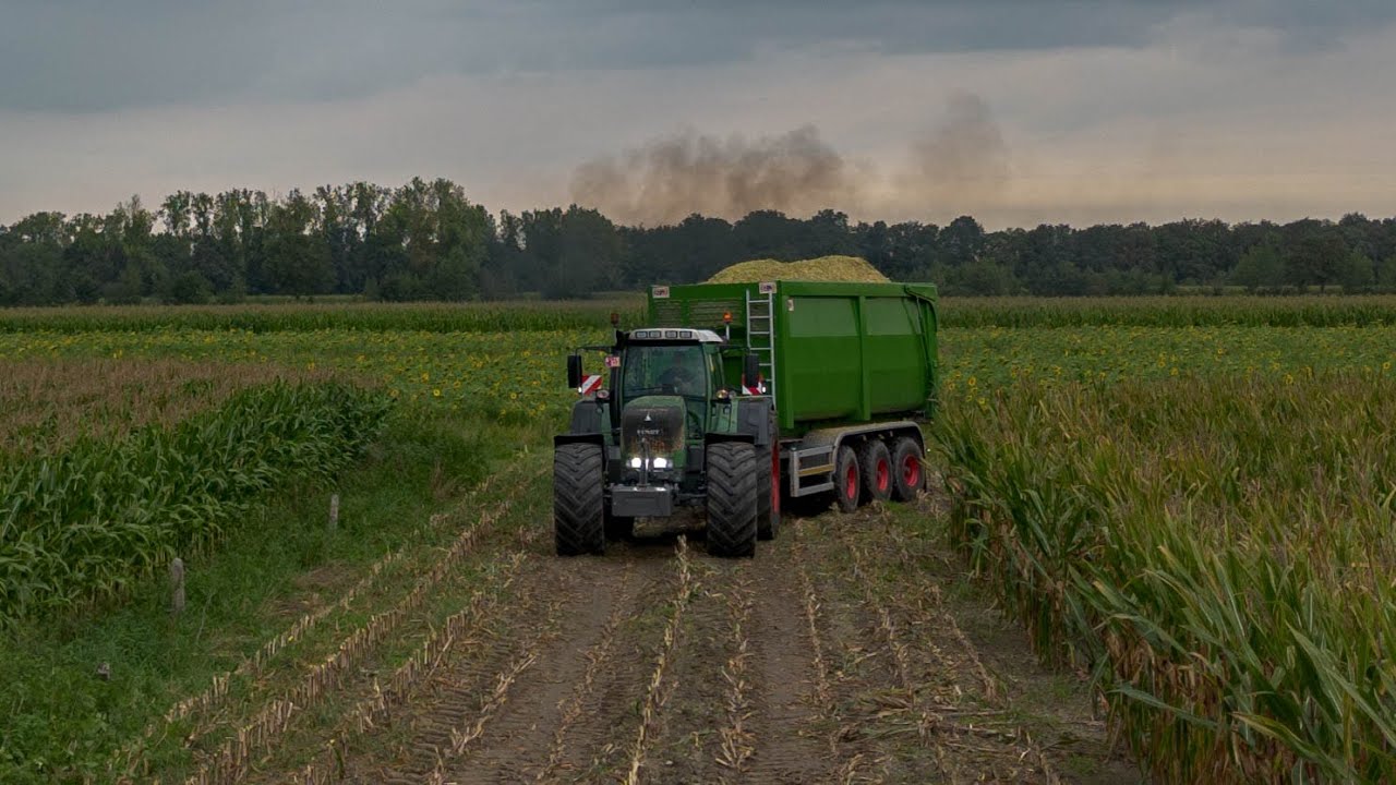Mais 2023 - Loonbedrijf Dewit | Hoeve De Heuvel