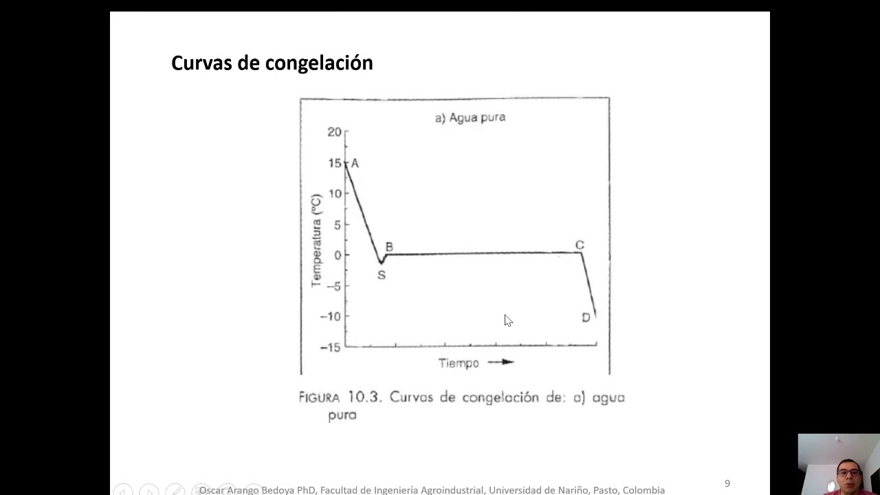 Conceptos congelación de alimentos