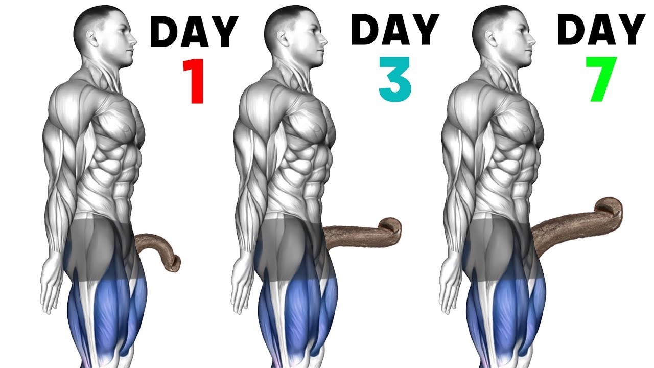 Build Strong Pelvic Muscles Naturally | Best Kegel Exercises for Men & Women