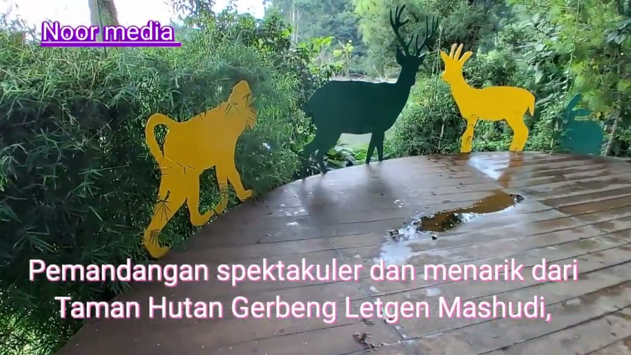 پارک جنگلی منظره ابشار حیوانات.تونل.وغیره Forest park, waterfall view, animals, tunnel, etc.