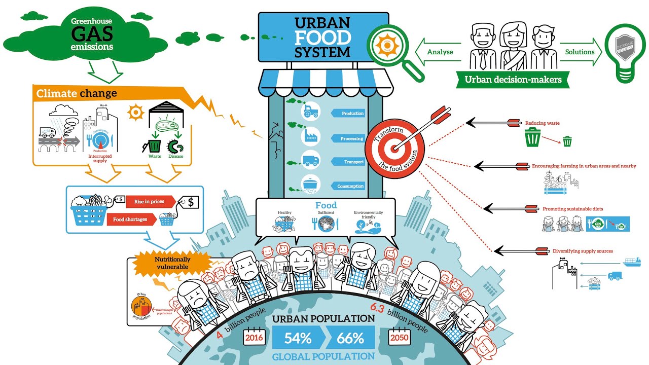 How and why should food be considered within the climate policies of cities?