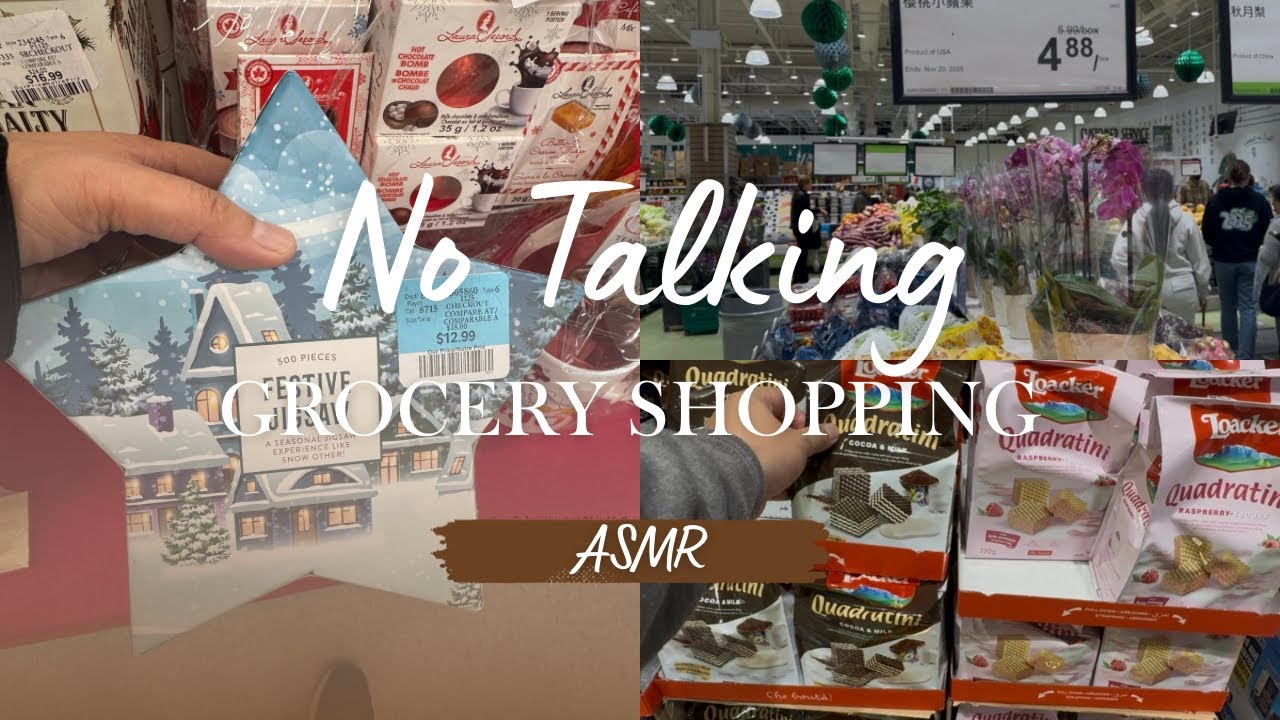 Relaxing grocery shopping | Grocery Prices November 2025 | Early Christmas Decors and Items 