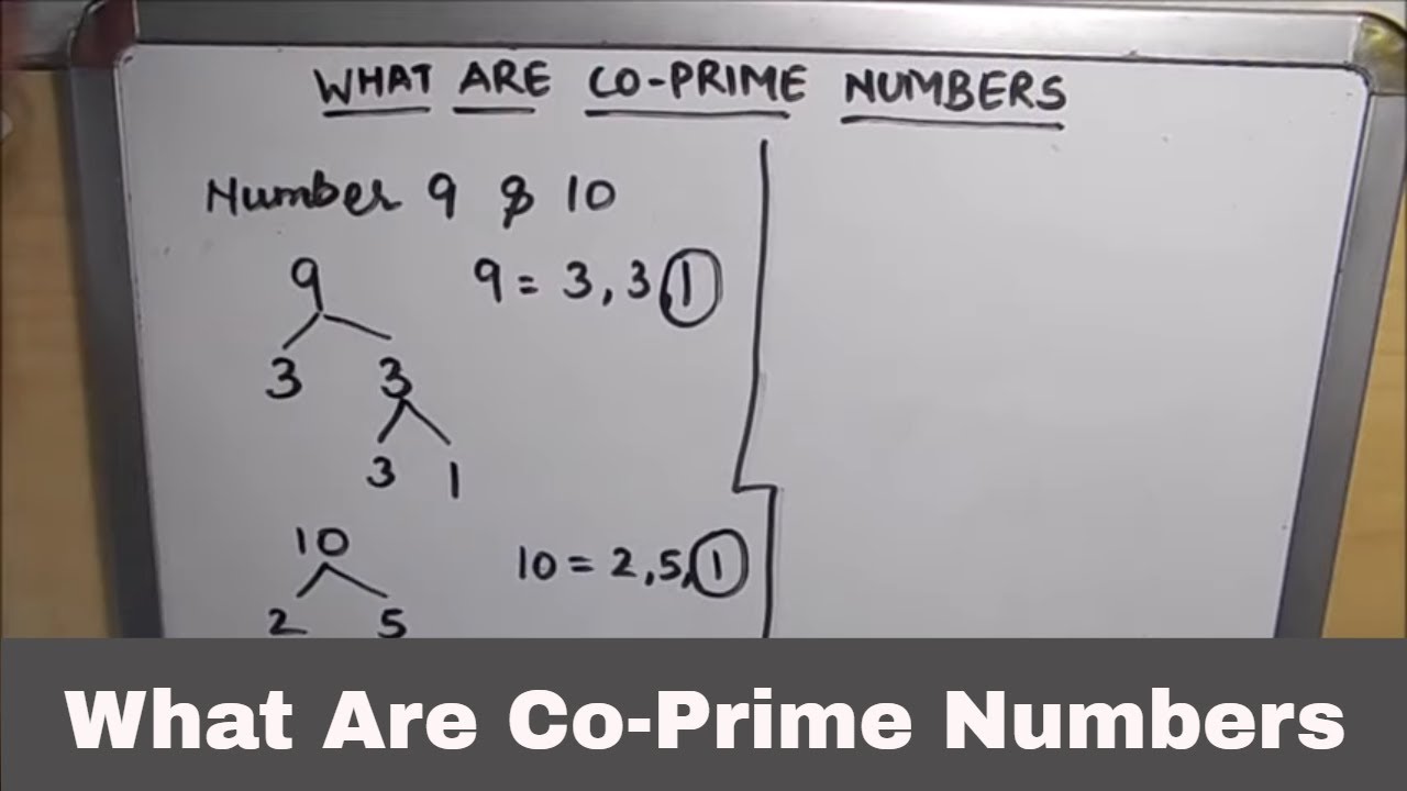 What Are Co-Prime  Numbers / Co-Prime Numbers