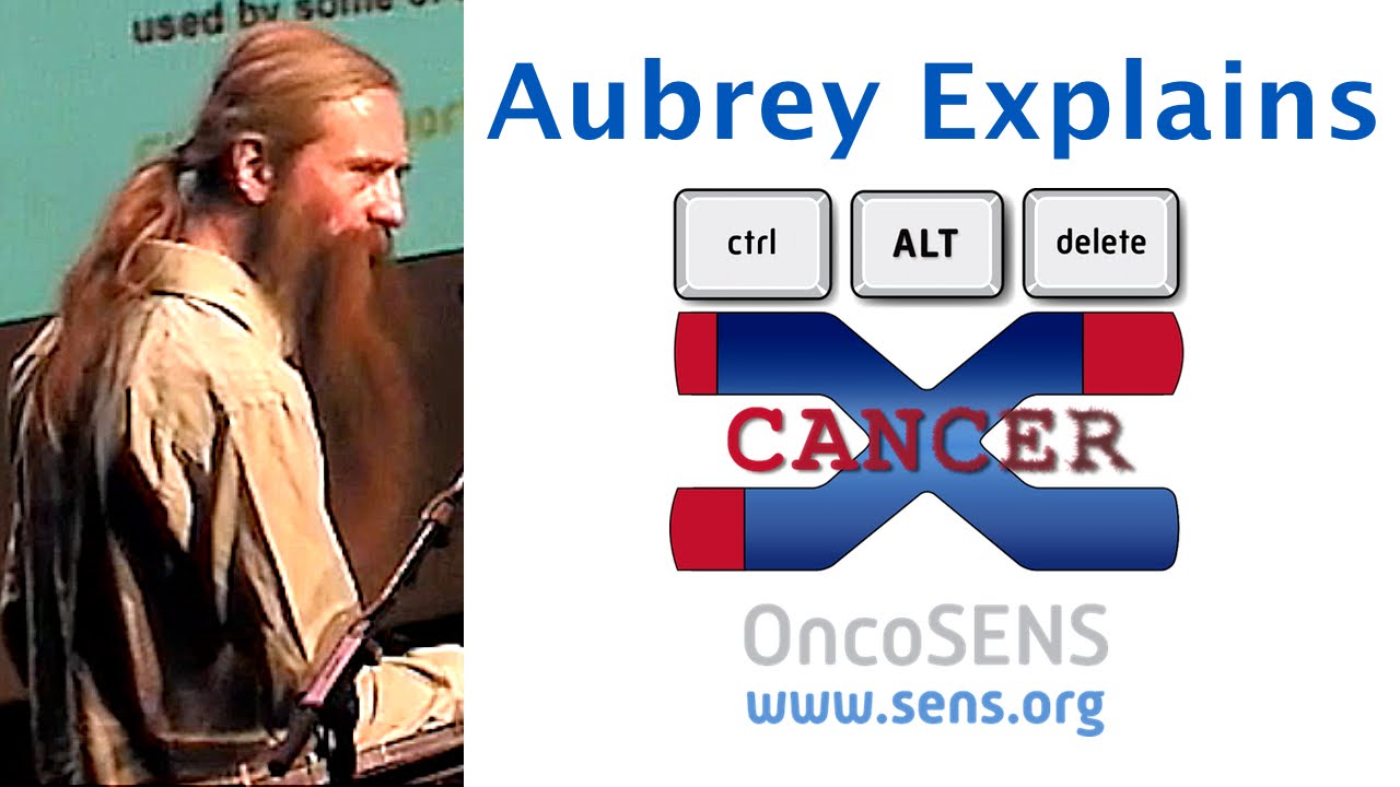 Aubrey de Grey Explains SENS Anti-Cancer Strategy and Lifespan.io Campaign at D.N.A. Conference
