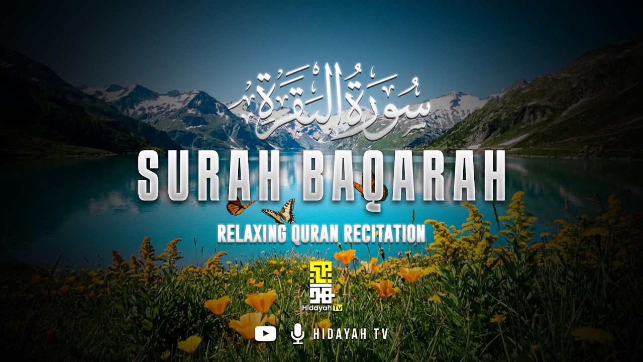Surah Al-Baqarah سورة البقرة | Mohamed Hesham محمد هشام | Beautiful Quran Recitation