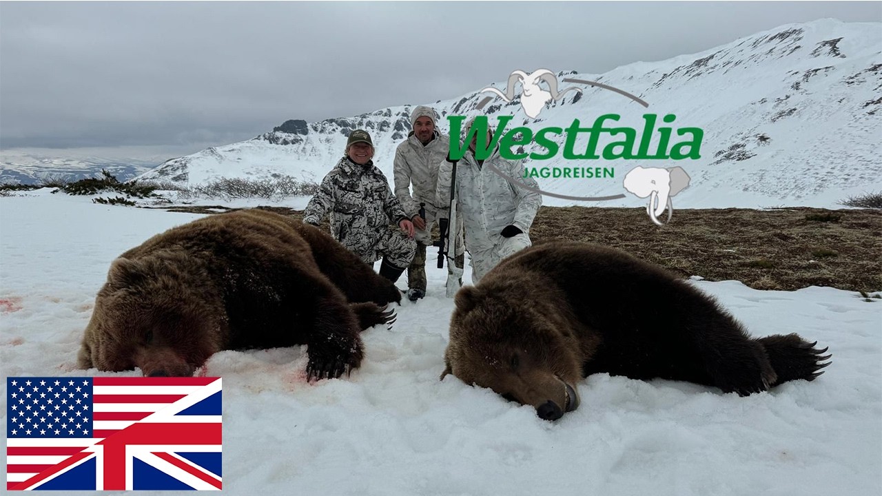 The biggest bears in the world. Hunting in Kamchatka.
