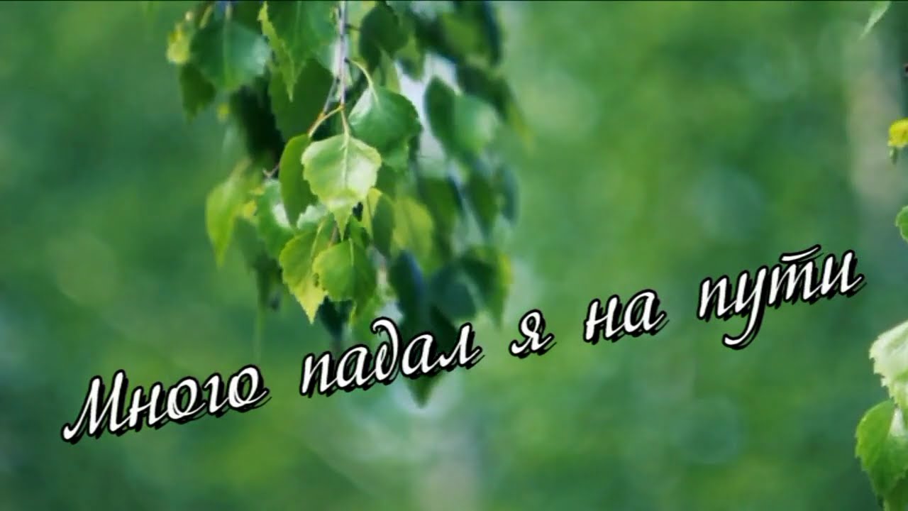 Много падал я на пути