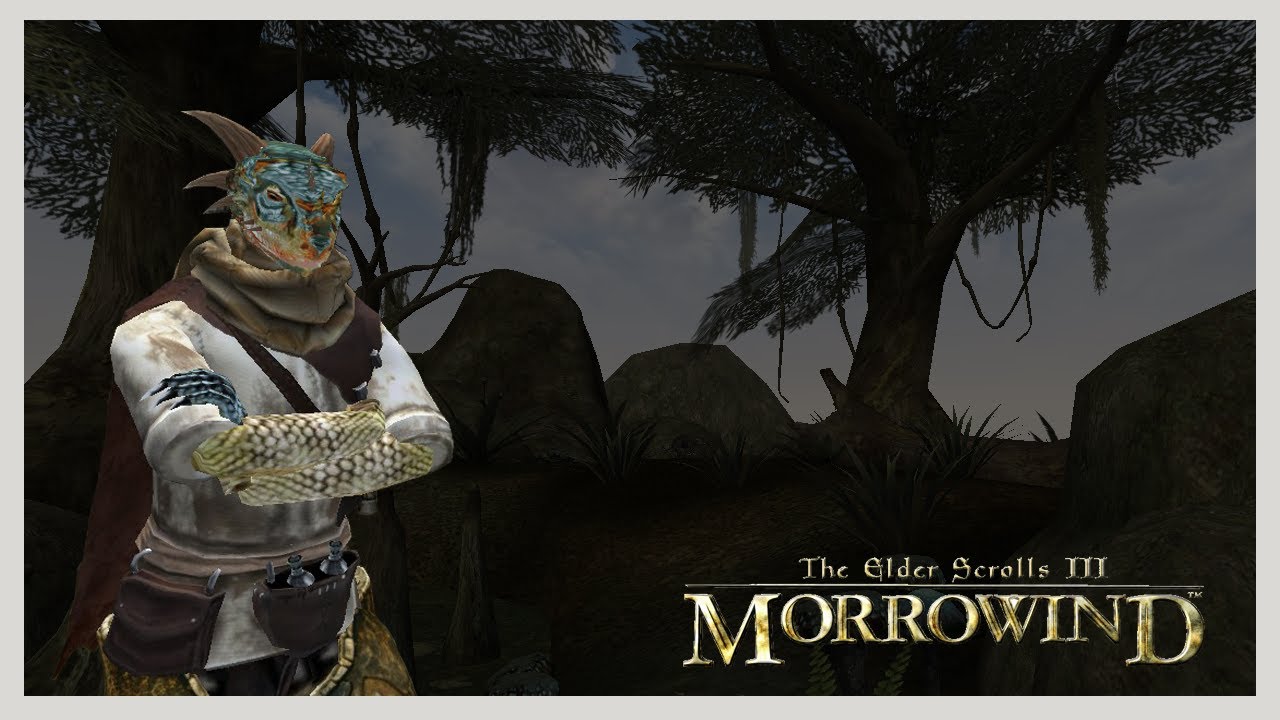 The Elder Scrolls III: Morrowind - Recomeçando .2