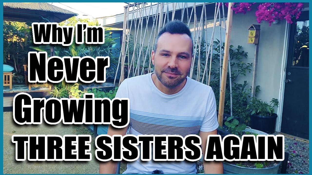 Why I'm not growing a THREE SISTERS GARDEN 