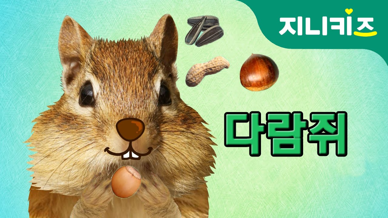 나무타기 선수, 다람쥐(squirrel) | 겨울잠 | 생생자연도감 | 어린이 자연관찰 Kids Science | 과학동화