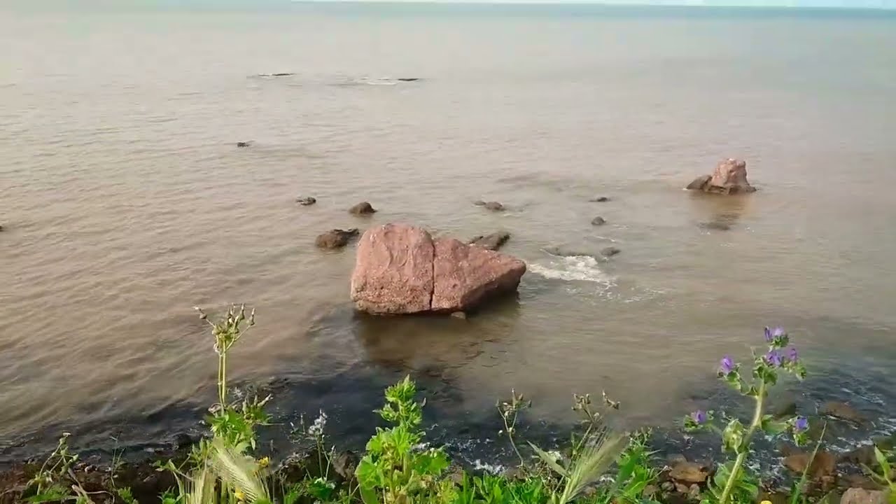 تشاهدون في هذا الفيديو شاطئ أزلا  🌊🌊