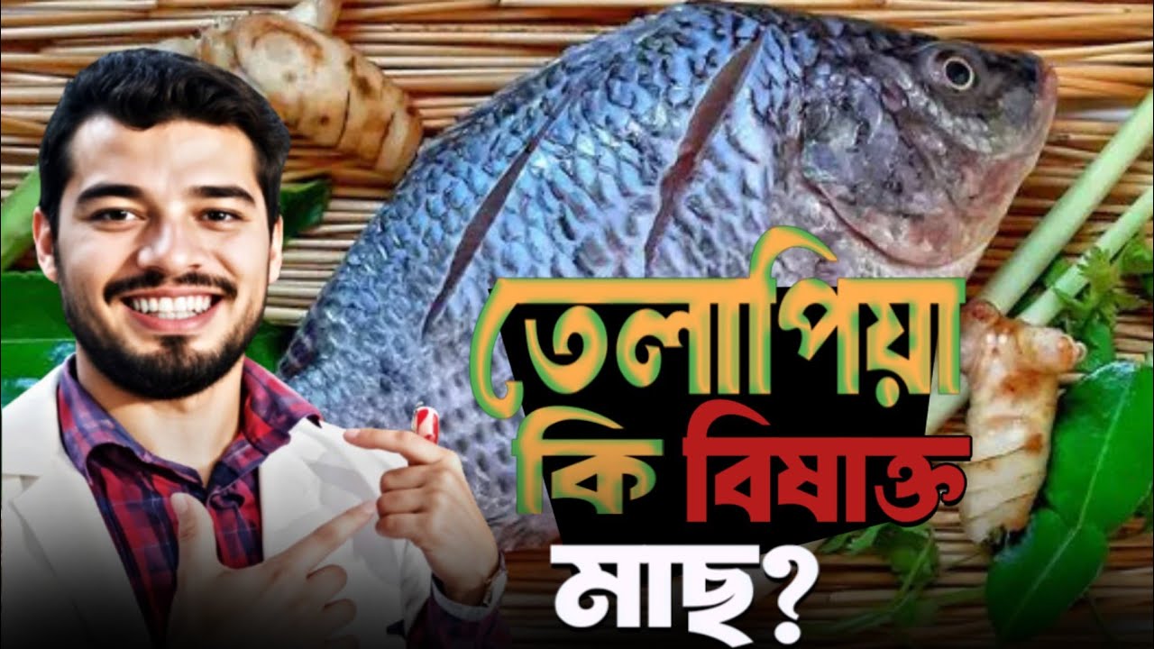 তেলাপিয়া মাছের বিপদ। কিভাবে খেলে কোন ক্ষতি করবে না? The Truth about Tilapia 🐟
