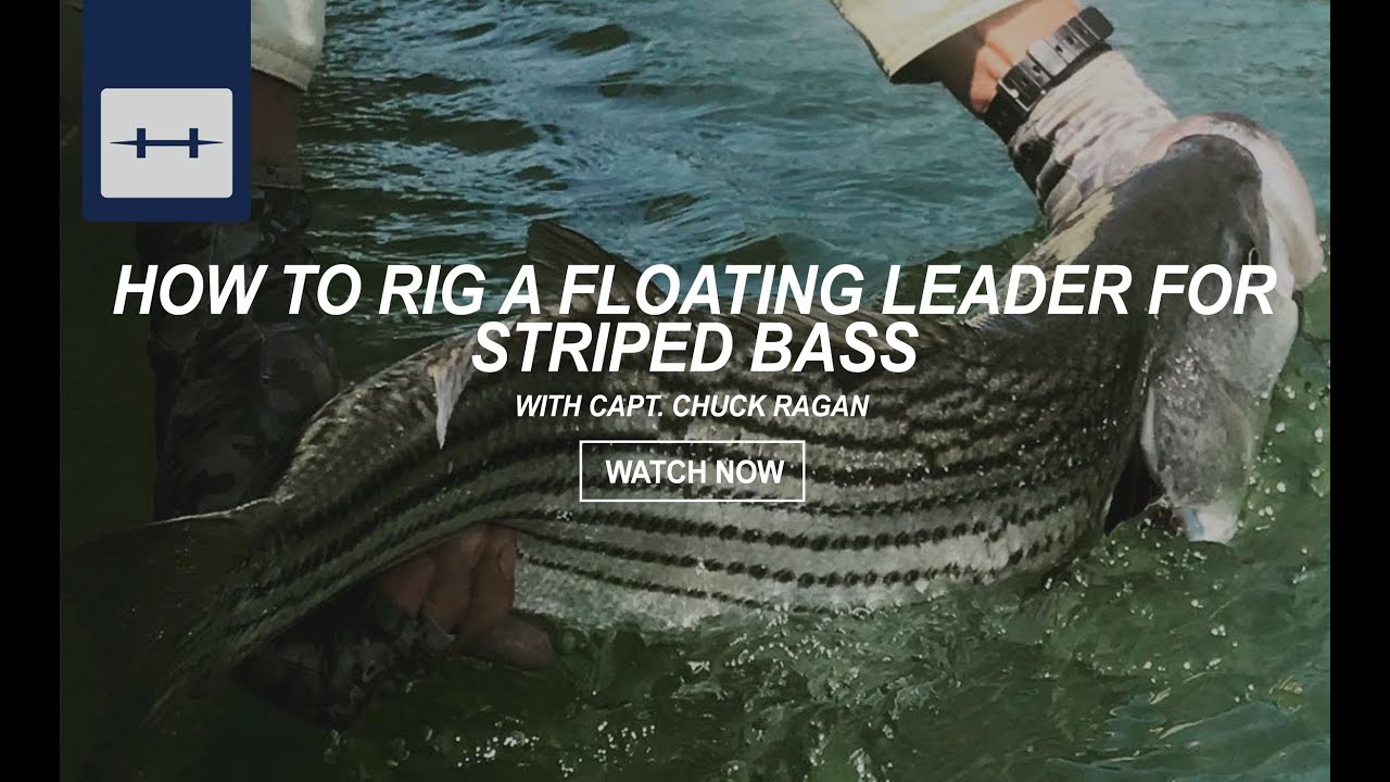 How To Rig a Floating Leader for Striped Bass with Capt. Chuck Ragan