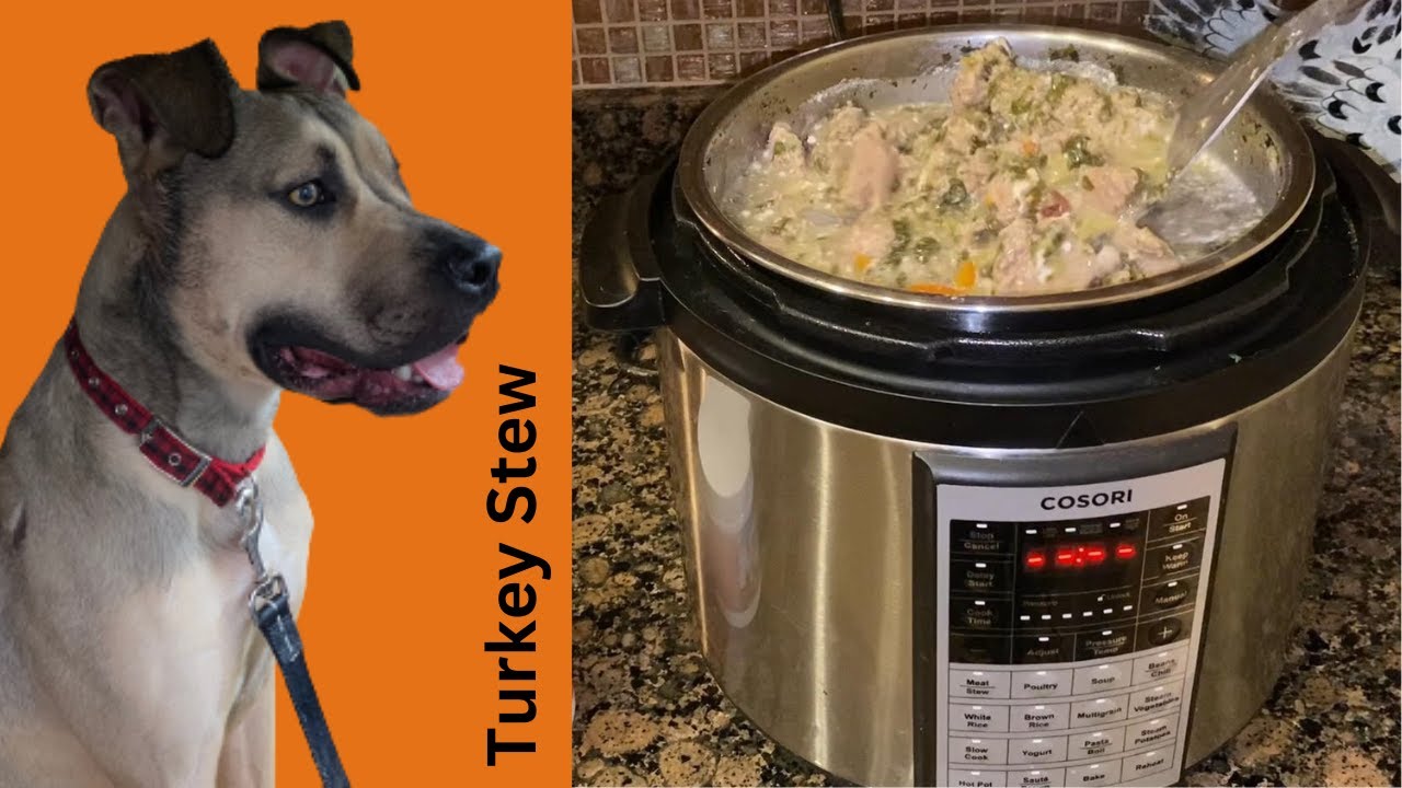 How to make DOG FOOD in six minutes Homemade Healthy Turkey Stew in your pressure cooker