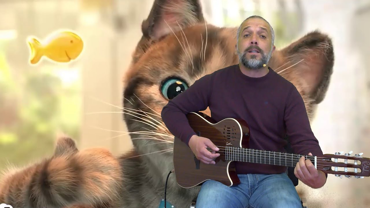 Paulo Silva - Gato Ferrinho ( A brincar com a música )